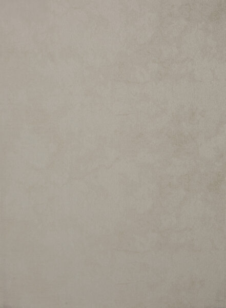 Muro
