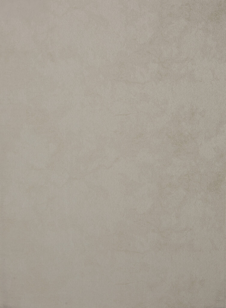 Muro