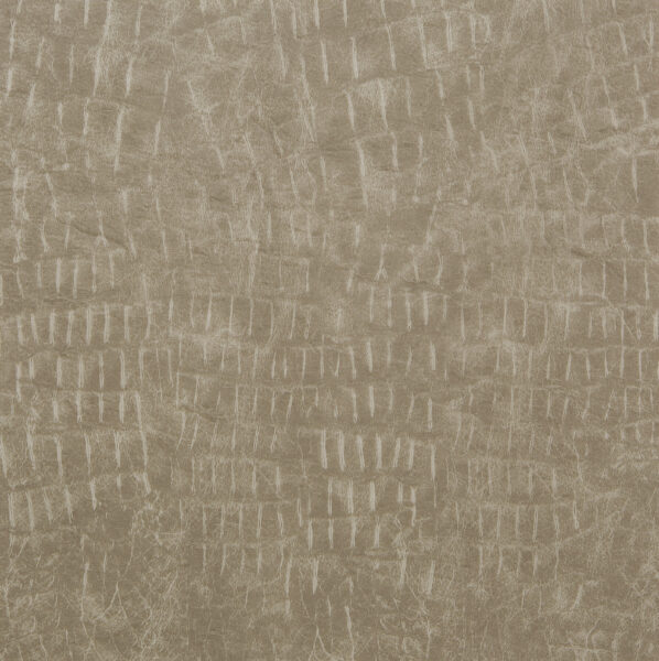 Touch leather 5