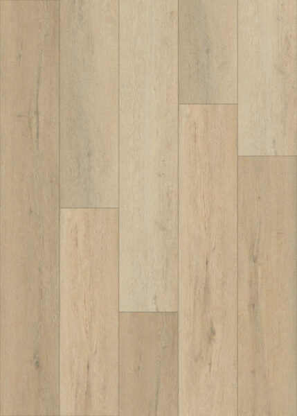 Nature 281-1
